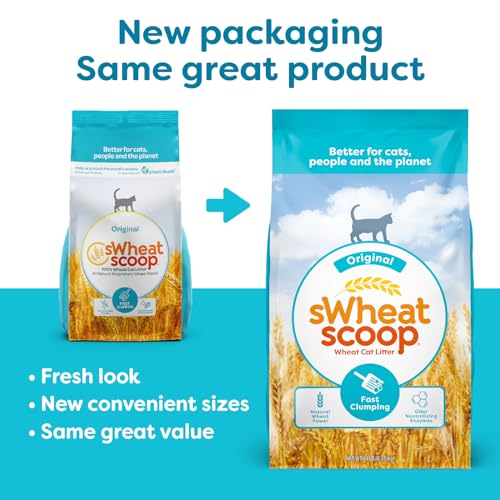 sWheat Scoop Natural Wheat Cat Litter, Original, Fast Clumping with Odor Neutralizing Enzymes, 25 Pound Bag - Image 4