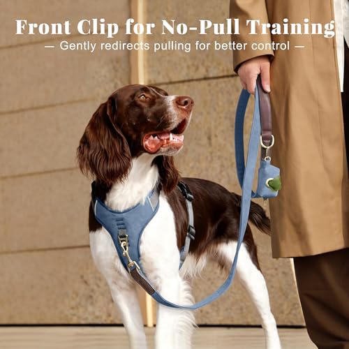 Image of Didog No Pull Dog Harness for Medium Dogs, Classic PU Leather, Blue, M