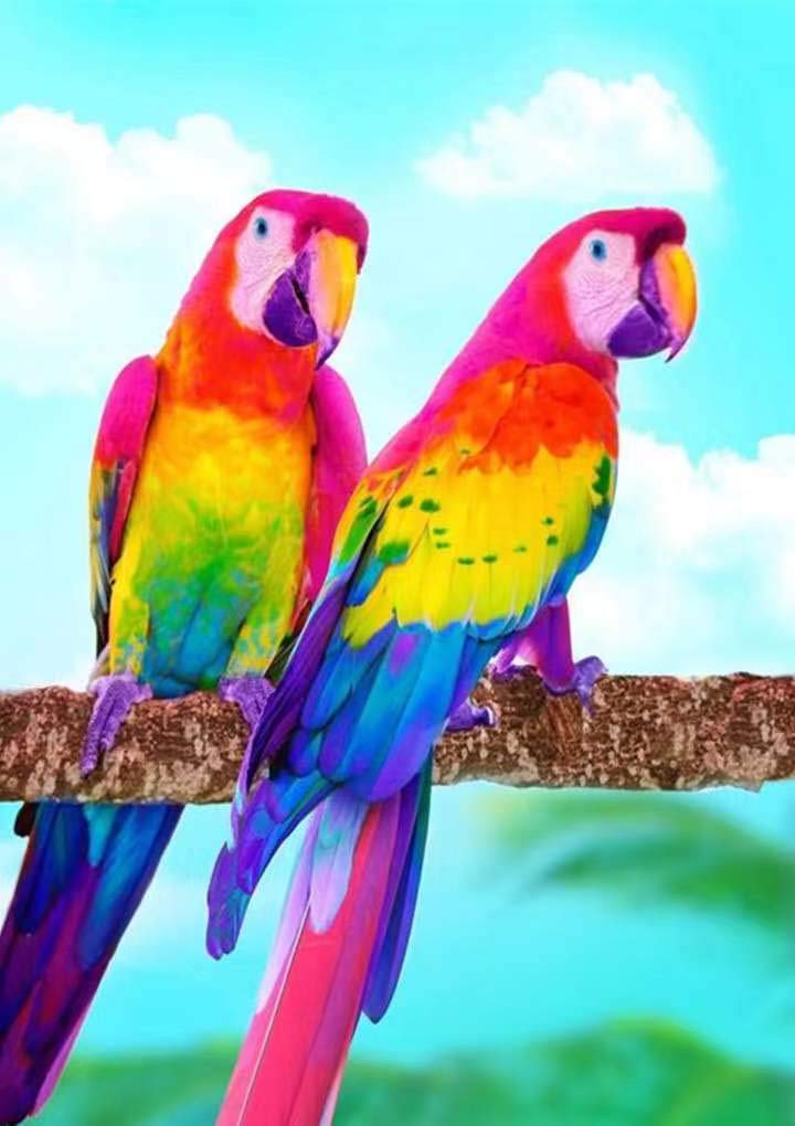 DIY 5D Diamond Painting Kits（Color Bird，12x16 inch）, Full Drill Diamond Painting with New Upgrade Toolkit, Perfect for Parent Child Activity and Child GiftArt Perfect for Home Wall Decor