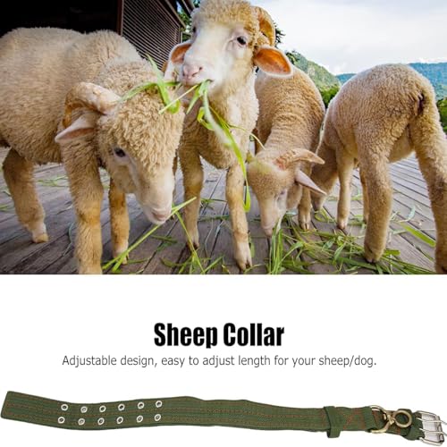 4 Stück Verstellbares Dickes Hundehalsband, Tierhalsband, Schafhalsband, Hundehalsband Canvas Halsband, Verstellbares Schafhalsband, für Pferd, Rind, Hund, Kamel, Bitte überprüfen sie die größe(XL)