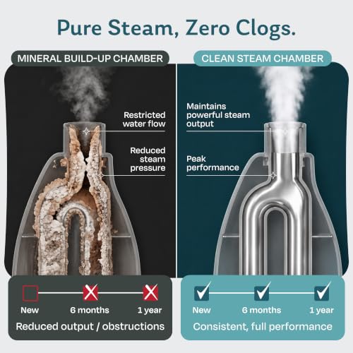 Image of Steam & Go Unscented Demineralized Water, 128 fl oz