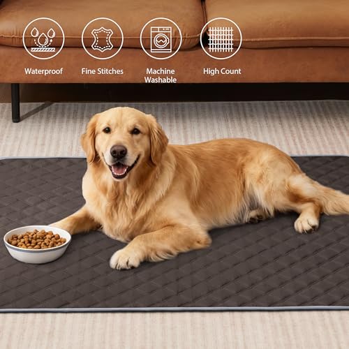 Image of Eterish Reusable Washable Pee Pads for Dogs Large /Extra Large 36'' x 41'' 2 Pack, Absorbent Pet Puppy Dog Training Pads Non-Slip, Waterproof Whelping Potty Pads for Dogs Leak-Proof