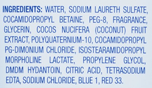 Dial Body Wash, Coconut Water & Mango, 16 Ounces , 6 Count (Pack of 1)