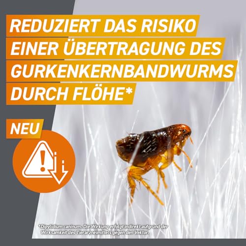 FRONTPRO Hund M - Kautablette gegen Zecken & Flöhe (Hunde 4 bis 10 kg) - 3X Kautabletten für 3 Monate Zecken- und Flohschutz