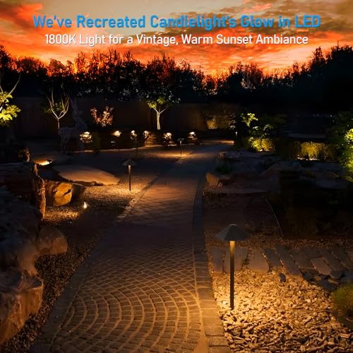 Image of LEONLITE 6-Pack 5CCT Low Voltage LED Pathway Lights, Hexagon Head