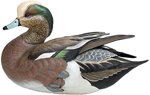 Weaver Bottoms - American Widgeon Large Decoy by Sam Nottleman