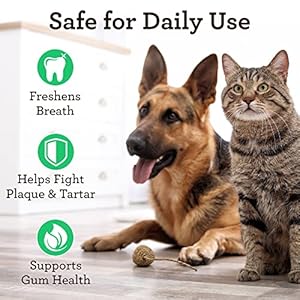 VetPro Complete Dr. Joseph’s Advanced Dental Cleanse, 8 Ounces, Cat and Dog Breath Freshener Water Additive for Dental Care, Fights Dog Bad Breath, Teeth Cleaning, Plaque and Tartar Remover