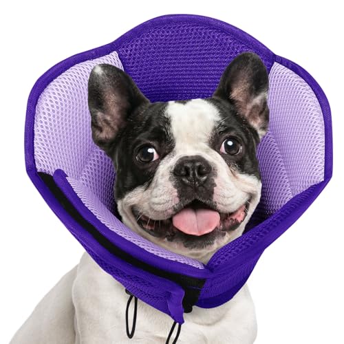 Image of AOFITEE Dog Cone - Soft Cone for Dogs to Stop Licking After Surgery, Foldable Small Dog Cone Collar, Adjustable Cones for Dogs for Wound Healing, Elizabethan Pet E-Collar, Purple Small