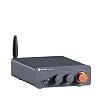 BT20A プロ TPA3255 ミニ HiFi アンプ Bluetooth 5.0 最大電力 600 ワットホームステレオ 2. チャンネルクラス DBlue without power