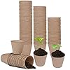 Funmo 100pcs Biologisch Afbreekbare Zaadpotten, Startpotten Voor Zaden, Zaailingpotten, Vezelzaadpotten Voor Zaailingen (Kleine Ronde Beker: 6 x 6 cm)