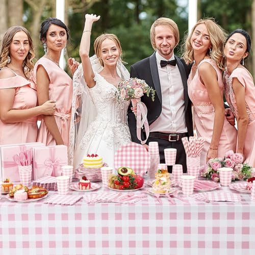 Image of Funnymoom 452 Pcs Pink Gingham Party Supplies for 50 Guests, Pink Gingham Paper Plates Napkins Cup Tablecloth Disposable Tableware for Wedding Bridal & Baby Shower Party BBQ Picnic Birthday Decoration