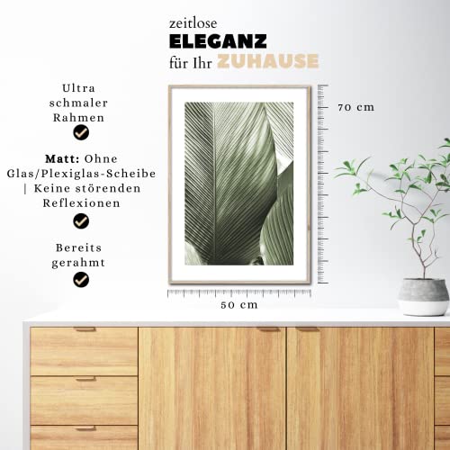 Rahmenbild Macro | Artbox Wandbild | Bild mit Holz Rahmen Optik Framepic | Macroaufnahme Pflanze mit großen Blätter XXL Aufnahme | Wohnzimmer Schlafzimmer Büro | grün weiß grau schwarz | 50x70 cm