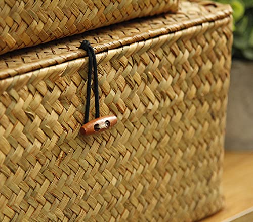 Feilanduo Shelf Baskets With Lids Set Of 3 For Home Decor Seagrass Storage Baskets Wicker Rattan Woven Rectangular Organizer Boxes ((Large) S/M/L, Original) #TOP2