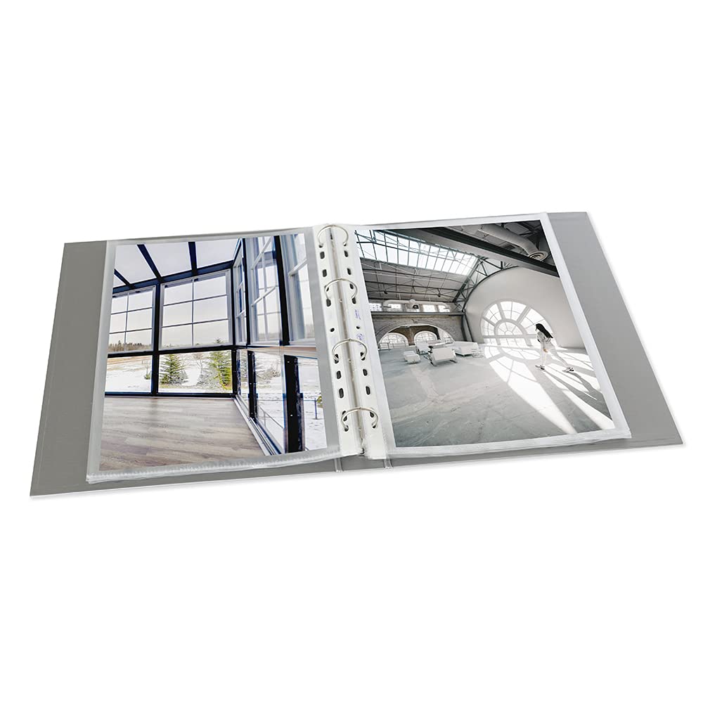 FAVORIT Box da 10 Raccoglitori Europa, 22 x 30 cm, 4 Anelli Tondi da 30 mm, Grigio Metallizzato, 400051151