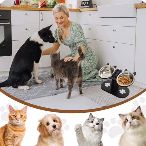 Bols sur support pour petit chien pour éviter les reflux - 8