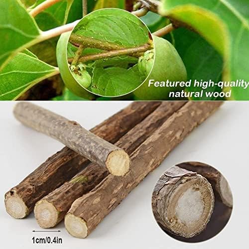 Cat Catnip Sticks, Cat Catnip Toys Natural Matatabi Silvervine Sticks Dental Treats Teeth Grinding Chew toys,Pack of 30 pcs