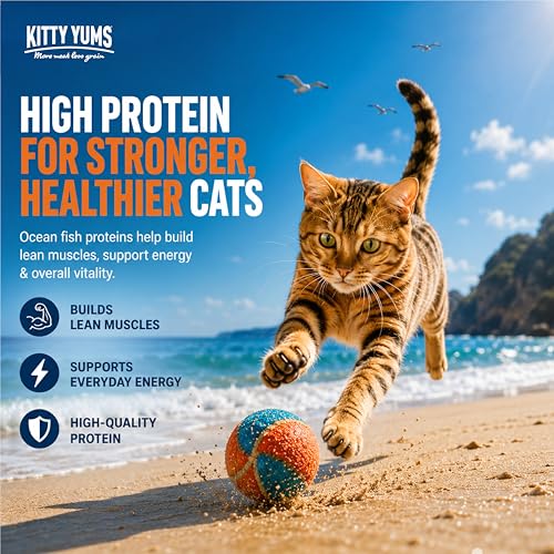 Image of Kitty Yums Adult (+1 Year) Dry Cat Food 1.2kg Pack | Ocean Fish Flavour | Develop Strong Bones | Healthy Skin & Coat | Supports Digestive System | Maintains a Healthy Heart