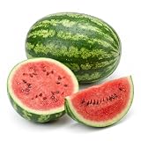 Saatgut: Wassermelone 'Crimson Sweet' | Hohe Keimfähigkeit | Gemüsesamen für Beet, Topf und Gewächshaus