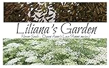 Liliana's Garden Flower Seeds - Annual Queen Anne's Lace - Ammi majus - Annual