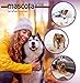 mascota vital - Getrocknete Ziegenohren für Hunde – 100% Natürlicher Kausnack, Schonend Getrocknet, Ohne Zusatzstoffe, Fördert Zahngesundheit & Langanhaltenden Kauspaß