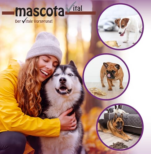 mascota vital - Getrocknete Ziegenohren für Hunde – 100% Natürlicher Kausnack, Schonend Getrocknet, Ohne Zusatzstoffe, Fördert Zahngesundheit & Langanhaltenden Kauspaß
