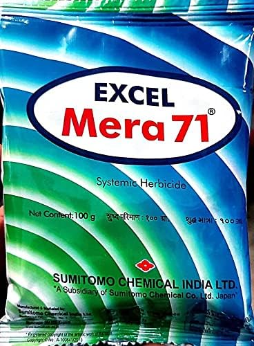 Excel Mera-71 ECCL (1 Kg)