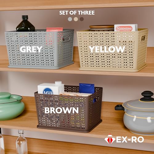 Image of TEX-RO Big Storage Box and Organiser | Storage & Organizers | Organizer Storage Box for Kitchen, Clothes | Durable Storage Basket With Lid & Plastic Basket for Storage (Pack of 3, multicolor)