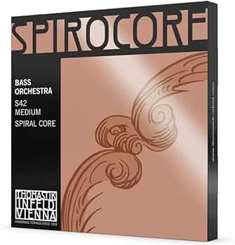 51hb3kngCmL._AC_UF350,