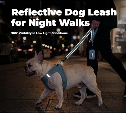 Image of Best Pet Supplies Voyager Reflective Dog Leash or Collar with Neoprene Handle, for Small, Medium, and Large Breed Puppies, Cute and Heavy Duty for Walking, Running and Training - Baby Blue (Leash), L