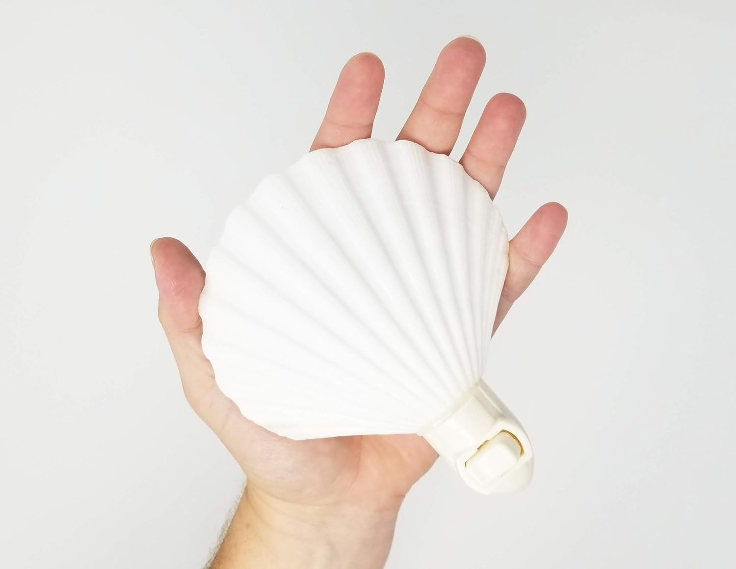 Tumbler Home Real Sea Shell Beach Night Light Real Natural Perfect for Beach Home Decor — view 3