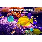 TCLのテレビ 55C8