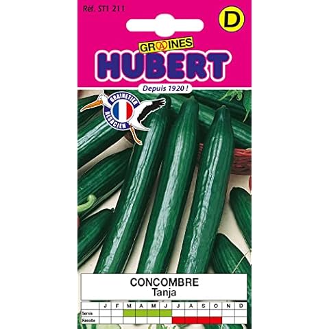 Graines de Concombre Tanja - GRAINES HUBERT Cover