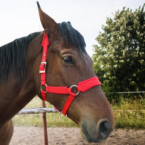 NIUTRIP Cabresto de cavalo com forro de lã, frente única ajustável para cavalos, ferragens de cetim