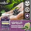 NEW AGE (2-Pack) Premium Elderberry Gummies for Adults Kids with Vitamin C, Zinc, Propolis - Sambucus Black Elderberry Gummy Extract - Gluten Free & Vegetarian - 120 Gummies