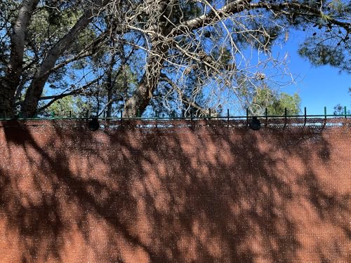 edenvista Malla de Ocultación HDPE de 170 g/m², con Tratamiento UV, Ultra Resistente. Ideal para Vallas de jardín, Patios y Balcones. | 1,5x20m, Color Marrón.