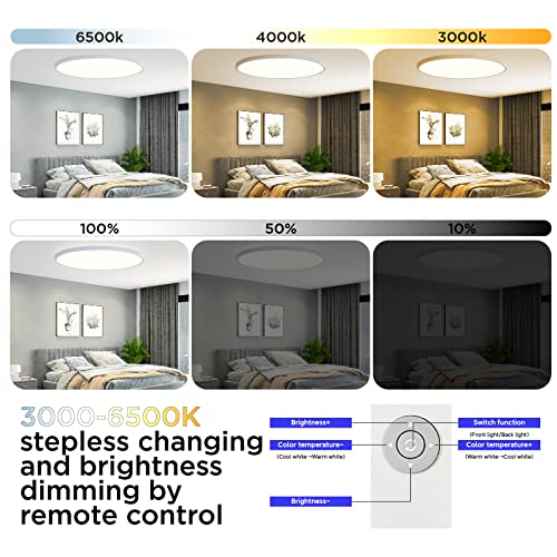 Smart Ceiling Light with Music Speaker