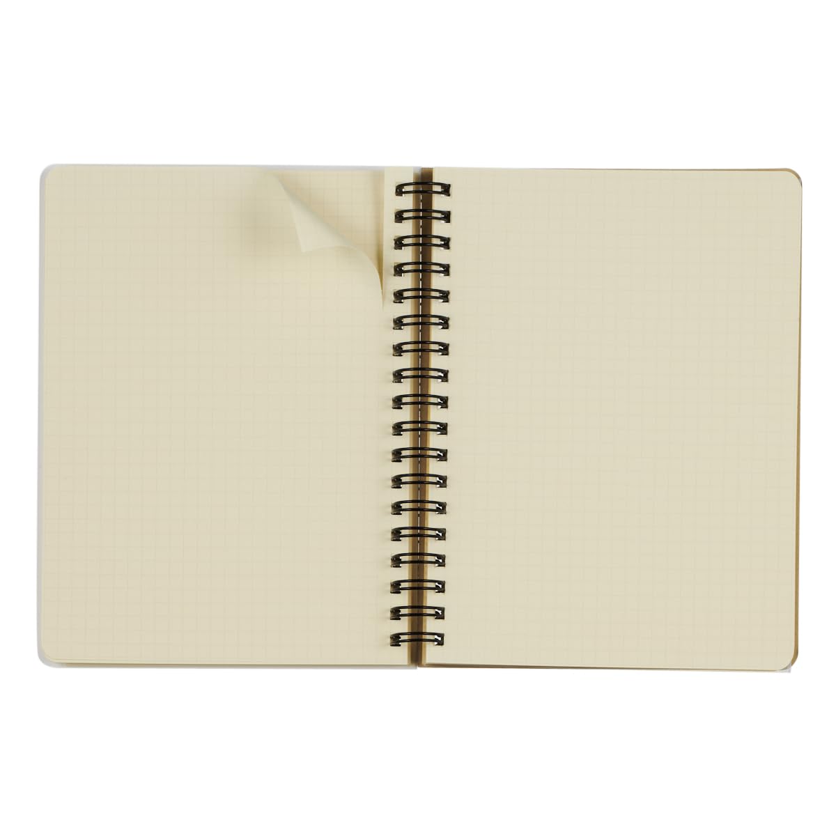 Amazon.co.jp: 【デルフォニックス手帳 2025年版／2024年10月