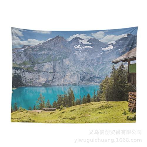 [AFUXINU] CeA ^yXg[   Ri ƊC [ 200*150cm R i` ʐ^ |X^[ ʐ^  傫 ǂ q  z ډB t@ubN   Be vg