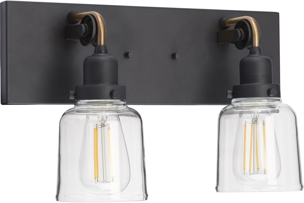 Progress Lighting Rushton Collection 2-Light Clear Glass Farmhouse Bath Vanity Light Graphite