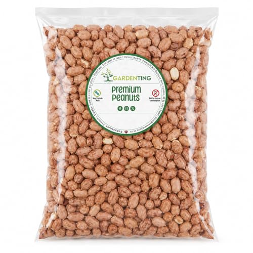 Peanuts Wild Bird Food Nuts Whole 3L Bag Wild Bird Food