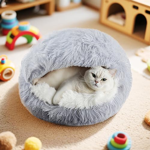 [ADSNS] ybgxbh  L ybgpi ӂӂ NbV Lxbh ybgpxbhQ LybgNbV ybg\t@ J[1 I[V[Y ʔN  ~ 60 Ck lR 薰 ΍ ۉh 킢 􂦂