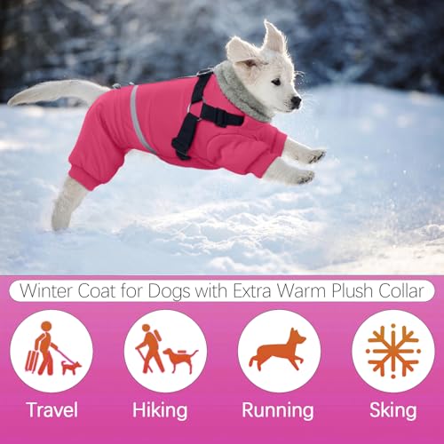 Image of BRKURLEG Dog Winter Coat with Harness Built in, Winter Dog Jacket for Small and Medium Dogs, Small Dogs Snowsuit Reflective Windproof Cold Weather Coat, Puppy Warm 100% Polyester Coats, Hot Pink, M