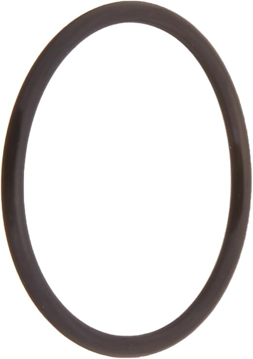 Pentair 155064 O-Ring Standup Replacement Tagelus Pool and Spa Sand Filter