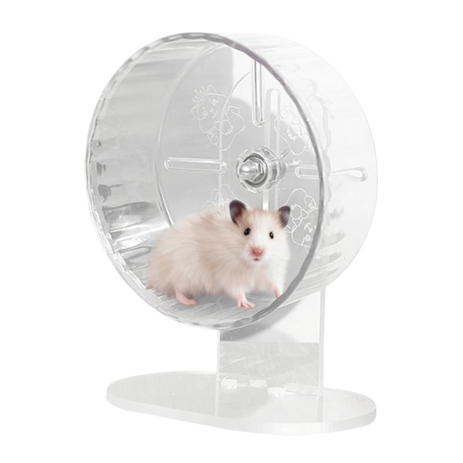 Rueda Hamster Gerbil Transparente silencioso for Correr, Accesorios Ajustables en Altura, Suministros for Mascotas para Mascotas