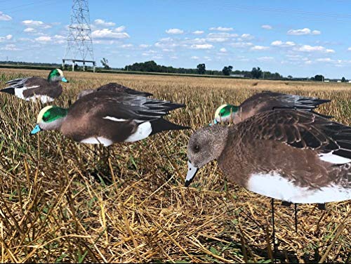 Dive Bomb Industries 1 Dozen W1 Wigeon Duck Silhouette Decoys
