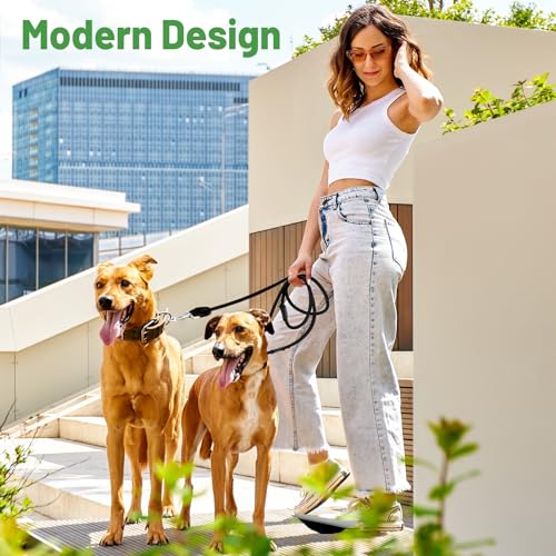 CROSHER Hundeleine 3m, Verstellbare Doppelleine für Ggroße und Mittelgroße Hunde mit 2 Karabiner Hochwertige Premium robust Leine Hund (3M)