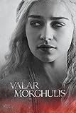 Se envía enrollado Grupo Erik Editores Game of Thrones (Daenerys) Poster, 24-Inches x 36-Inches