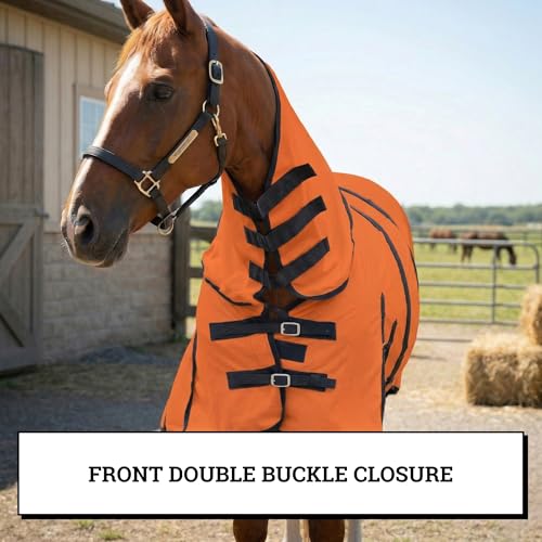 Image of Horse Fly Sheet with Attached Neck Cover & Tail Flap | UV Protection Mesh Horse Blanket, Full Body Bug & Sun Shield, Buckles, Belly Wrap & Gussets for Spring Summer Riding Rug (Orange, 76 inch)