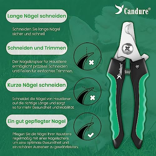 Candure Profi Krallenschere für Hunde und Katzen mit Nagelfeile Edelstahl Krallenzange Hohe Qualität Krallenpflege Schneider für Haustiere Nagelknipser groß Mit Sicherheitsschutz (Klein (S), Grün)