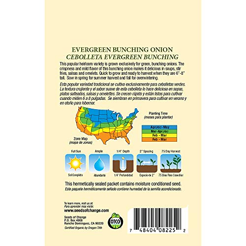 Seeds Of Change 8225 Evergreen Bunching Onion, Green #TOP1